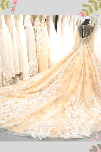 908XNW01 Jazmin Champagne LS Princess 2 Princess Wedding Gown Malaysia, Bridal Dress Rental Malay Kuala Lumpur Rental,