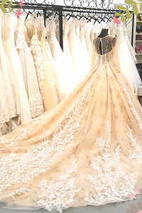 908XNW01 Jazmin Champagne LS Princess 3 Princess Wedding Gown Malaysia, Petite Bridal Wedding Dress rental Kuala Lumpur,